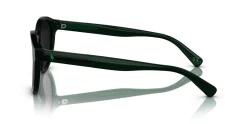 Gafas de sol Polo Ralph Lauren 0PH4192