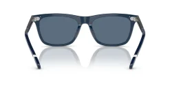 Gafas de sol Polo Ralph Lauren 0PH4205U