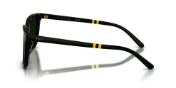 Gafas de sol Polo Ralph Lauren 0PH4235U
