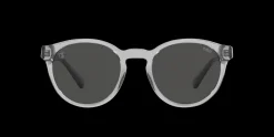 Gafas de sol Polo Ralph Lauren 0PH4192