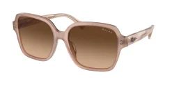 Gafas de sol Ralph Lauren 0RA5304U