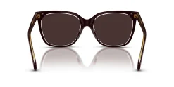 Gafas de sol Ralph Lauren 0RA5343U