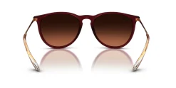 Gafas de sol Ray Ban ERIKA 0RB4171