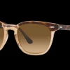 Gafas de sol Ray Ban HAWKEYE 0RB2298