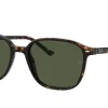 Gafas de sol Ray Ban LEONARD 0RB2193