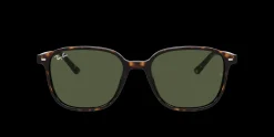 Gafas de sol Ray Ban LEONARD 0RB2193