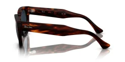 Gafas de sol Ray Ban MEGA HAWKEYE 0RB0298S