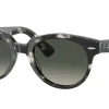 Gafas de sol Ray Ban ORION 0RB2199