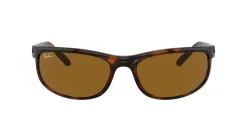 Gafas de sol Ray Ban 0RB2027
