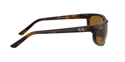 Gafas de sol Ray Ban 0RB2027