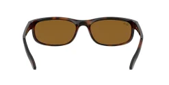 Gafas de sol Ray Ban 0RB2027