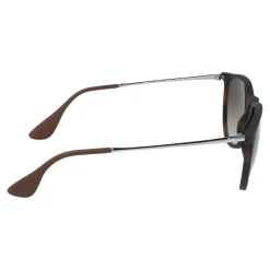 Gafas de sol Ray Ban RB4171