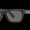 Gafas de sol Ray Ban 0RB2283
