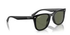 Gafas de sol Ray Ban 0RB4420