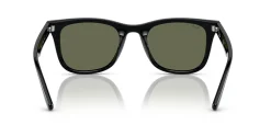 Gafas de sol Ray Ban 0RB4420