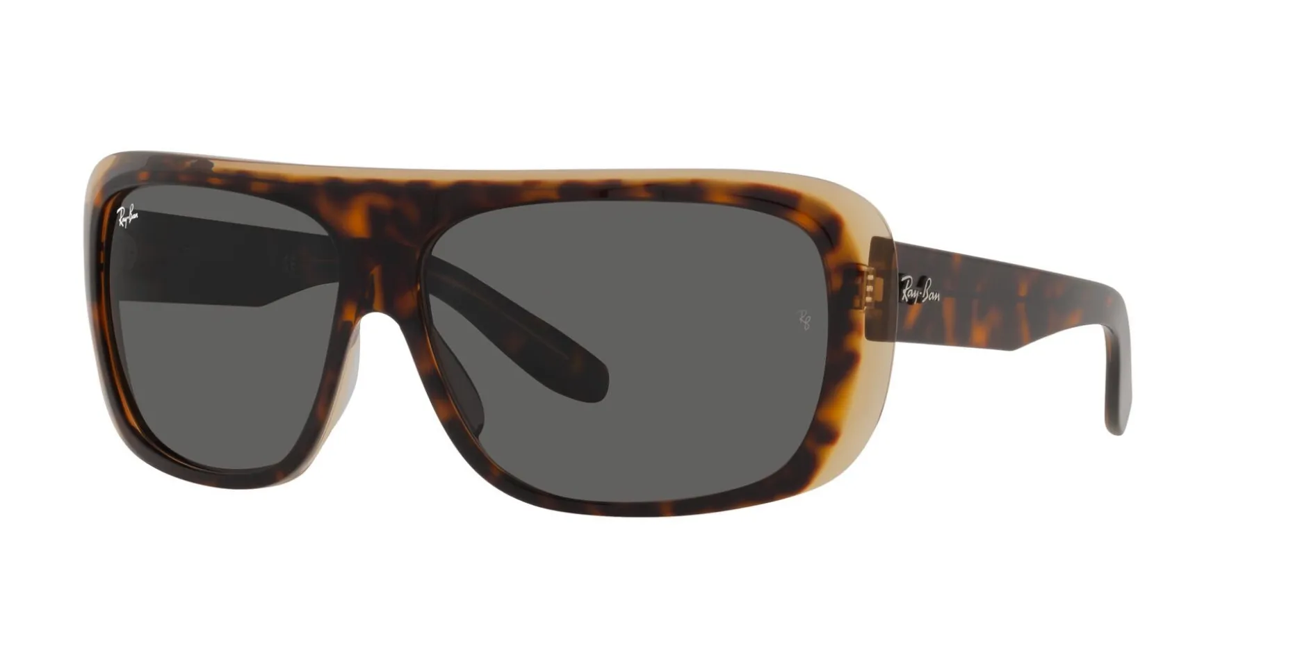 Gafas de sol Ray Ban 0RB2196