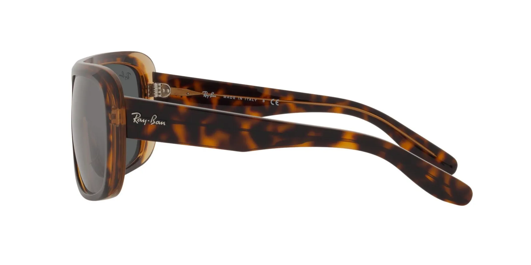 Gafas de sol Ray Ban 0RB2196