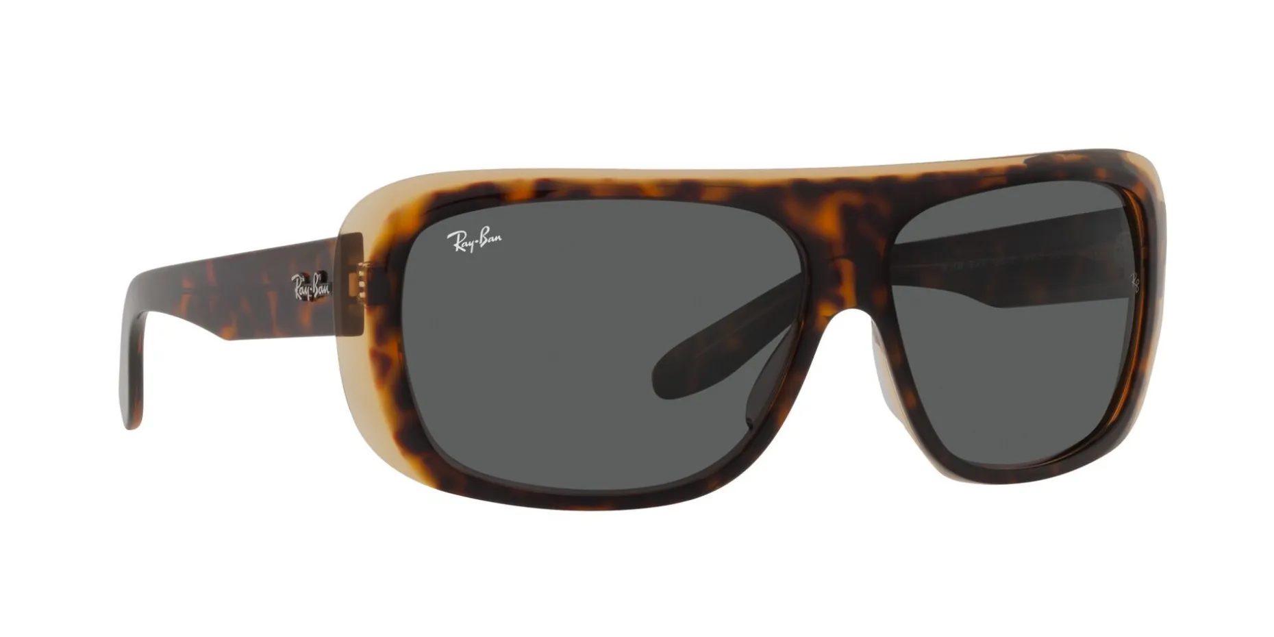 Gafas de sol Ray Ban 0RB2196