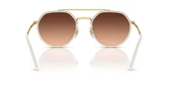 Gafas de sol Ray Ban 0RB3765