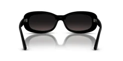 Gafas de sol Ray Ban 0RB2221