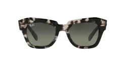 Gafas de sol Ray Ban 0RB2186