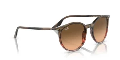 Gafas de sol Ray Ban 0RB2204