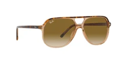 Gafas de sol Ray Ban 0RB2198