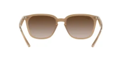 Gafas de sol Ray Ban 0RB4362