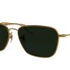Gafas de sol Ray Ban 0RBR0102S