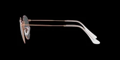 Gafas de sol Ray Ban ROUND METAL 0RB3447