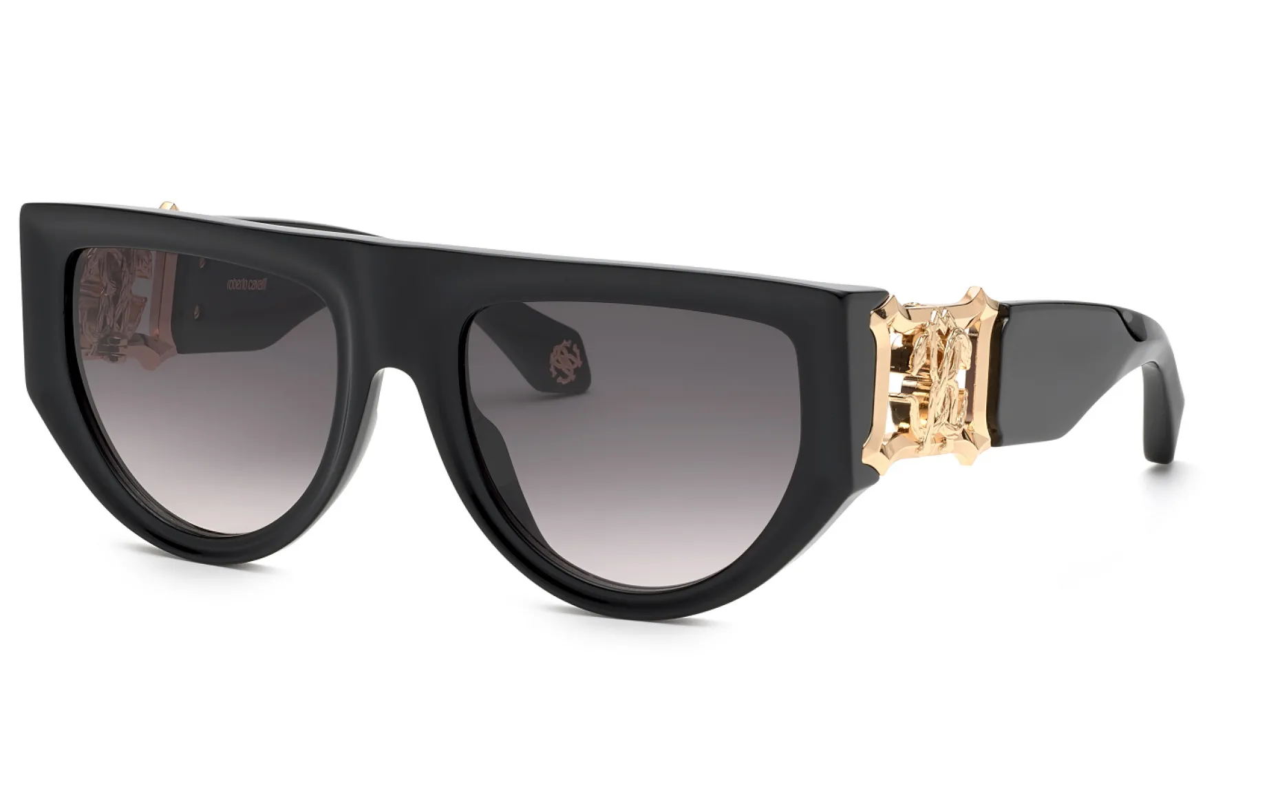 Gafas de sol Roberto Cavalli SRC063