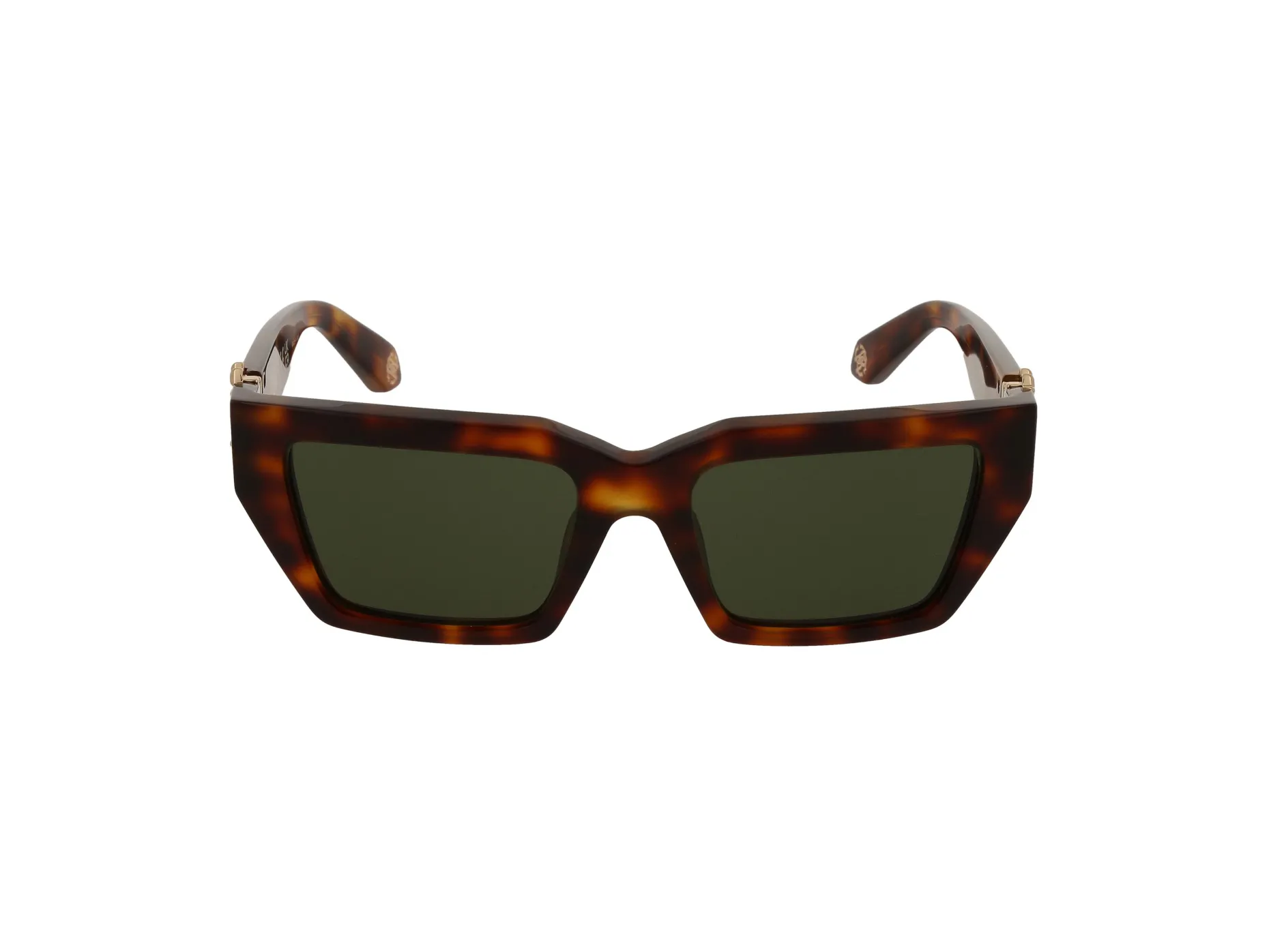 Gafas de sol Roberto Cavalli SRC016