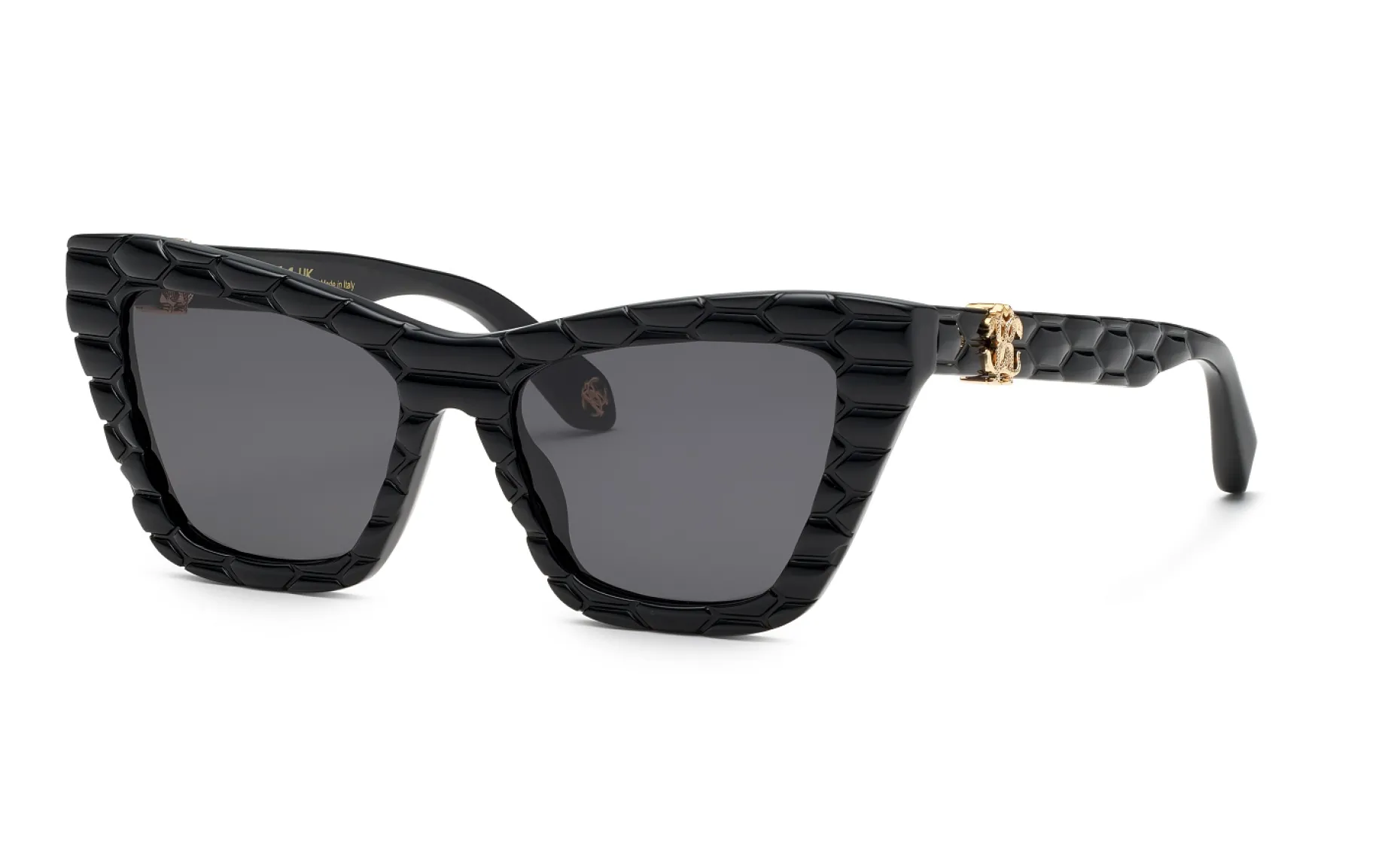 Gafas de sol Roberto Cavalli SRC091V