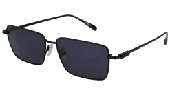 Gafas de sol Salvatore Ferragamo SF309S