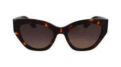 Gafas de sol Salvatore Ferragamo SF1107S
