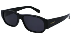 Gafas de sol Salvatore Ferragamo SF1109S