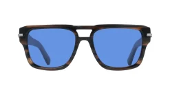 Gafas de sol Salvatore Ferragamo SF2070S