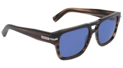 Gafas de sol Salvatore Ferragamo SF2070S