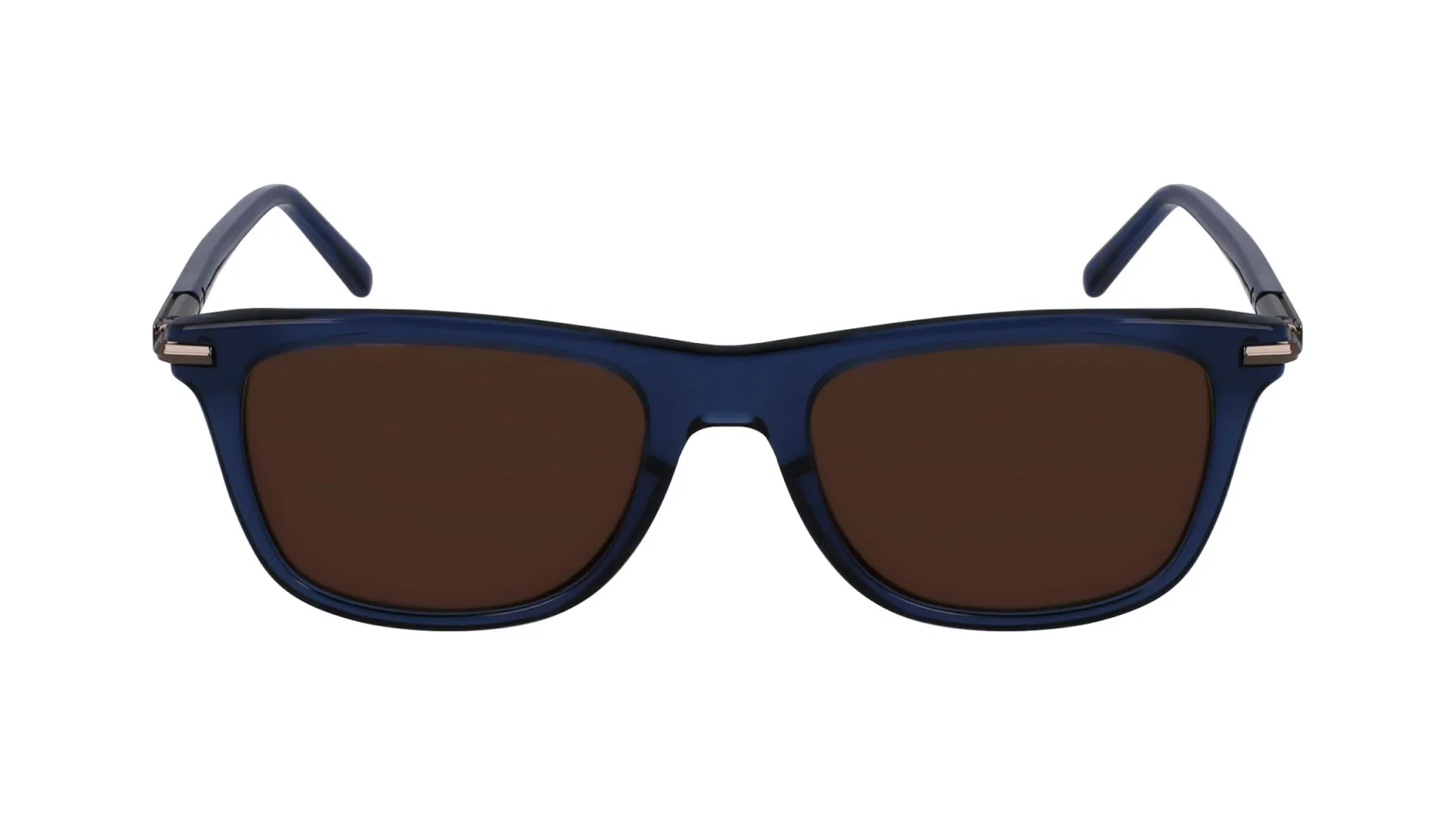 Gafas de sol Salvatore Ferragamo SF2028S