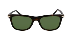 Gafas de sol Salvatore Ferragamo SF2028S