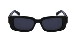 Gafas de sol Salvatore Ferragamo SF1105S