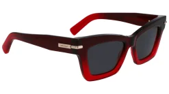 Gafas de sol Salvatore Ferragamo SF2031S