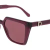 Gafas de sol Salvatore Ferragamo SF2058SE