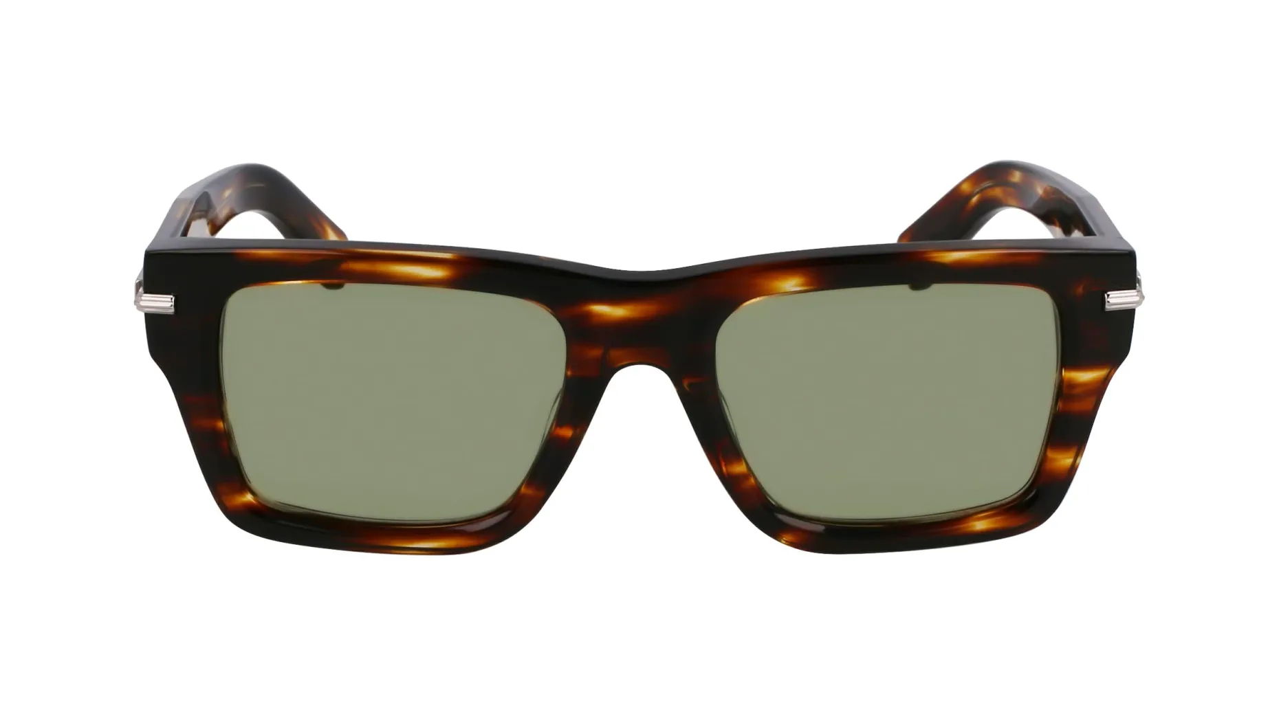 Gafas de sol Salvatore Ferragamo SF2033S