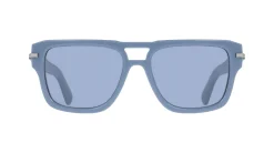 Gafas de sol Salvatore Ferragamo SF2070S