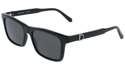 Gafas de sol Salvatore Ferragamo SF2060SE