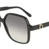 Gafas de sol Salvatore Ferragamo SF2069SE