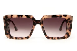 Gafas de sol Scalpers SOHO SOHO