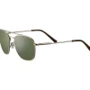 Gafas de sol Serengeti CARROLL LARGE SS598003