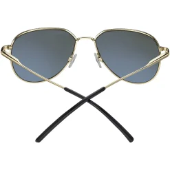 Gafas de sol Serengeti HAYWOOD SS543003